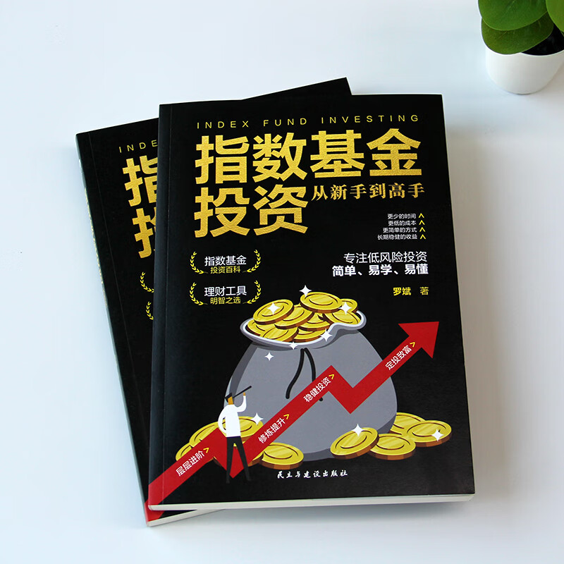 正版新书  基金投资理财书籍 指数基金投资从新手到高手 理财指南 股票 经济学理论定投指数基金解读基金定投入门详情图