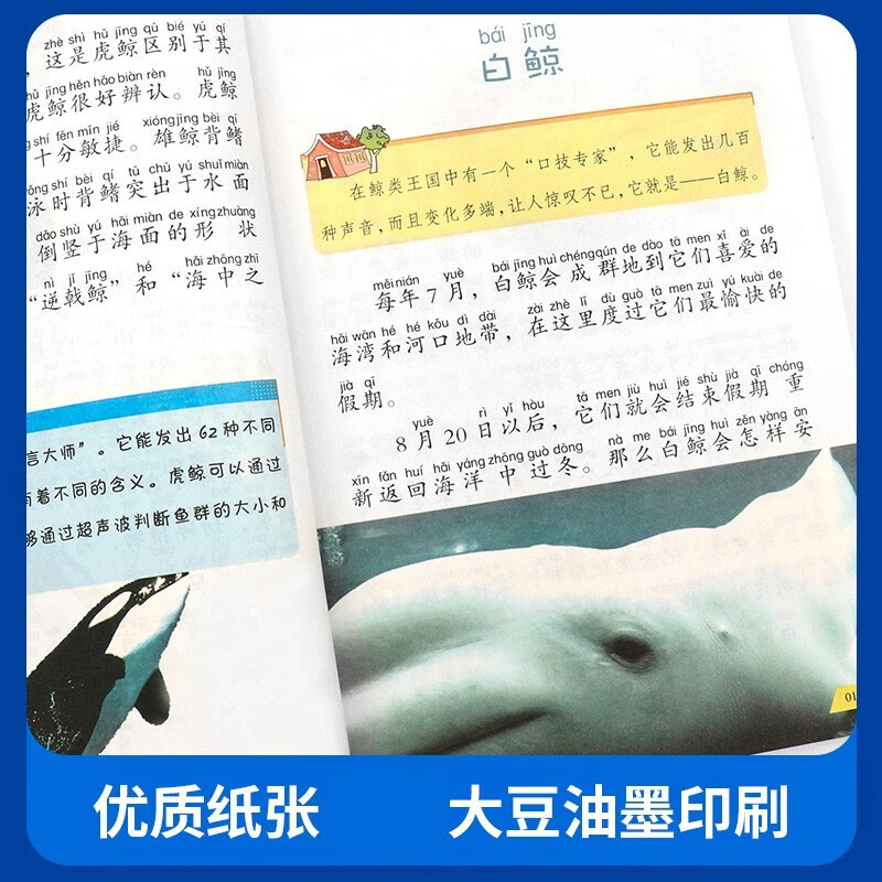 【全6册】写给儿童百科全书：动物世界恐龙帝国昆虫奥秘鸟类王国海洋生物植物乐园 中国少年儿童科普类书籍详情图