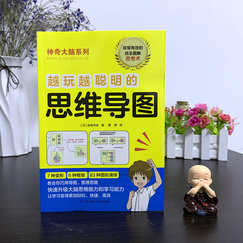 越玩越聪明的思维导图 16-18岁（10-12年级）详情图