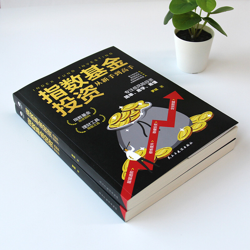 正版新书  基金投资理财书籍 指数基金投资从新手到高手 理财指南 股票 经济学理论定投指数基金解读基金定投入门详情图
