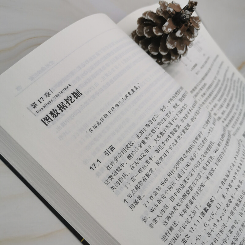 数据挖掘：原理与实践（进阶篇）详情图
