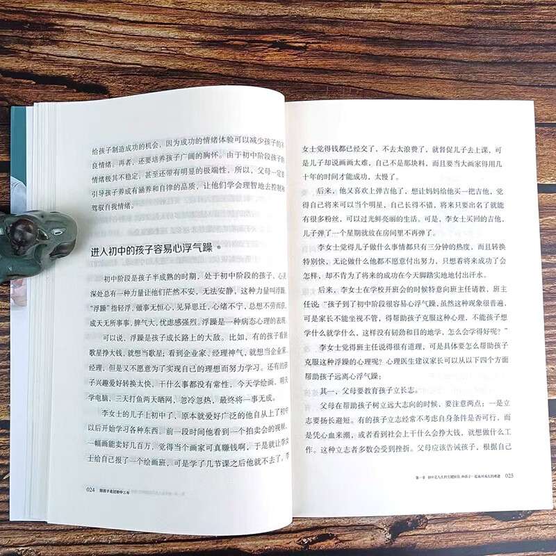 陪孩子走过初中三年 青春期初中生家长阅读教育孩子的书籍家教陪我走过初中三年详情图