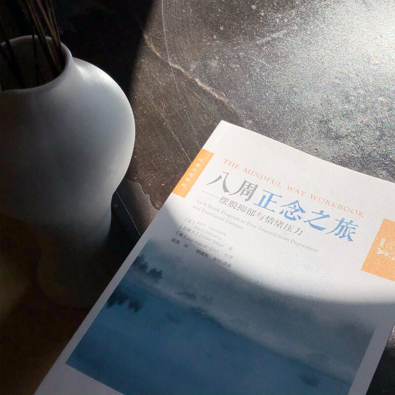 八周正念之旅——摆脱抑郁与情绪压力（万千心理）