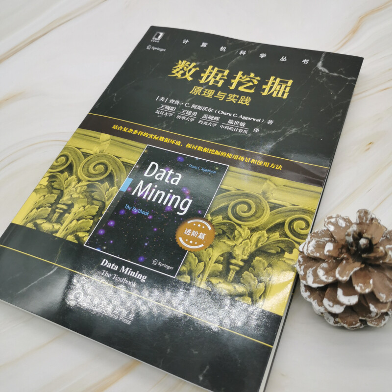 数据挖掘：原理与实践（进阶篇）详情图