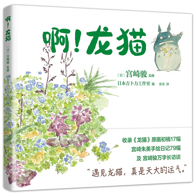 宫崎骏：啊！龙猫（宫崎骏 宫崎夫人首度合体创作 17幅原画初稿 79幅手绘日记）详情图