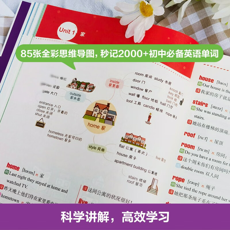 思维导图. 全彩图解初中英语词汇（赠名师配套视频讲解课）详情图