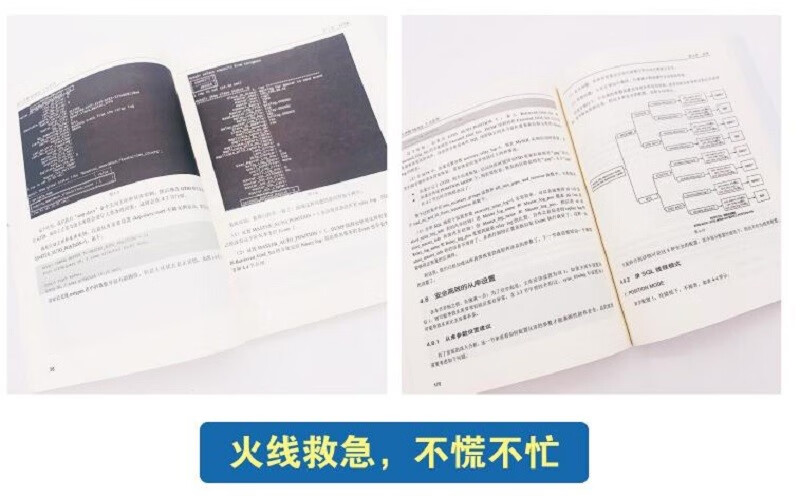 深入理解MySQL主从原理(博文视点出品)详情图