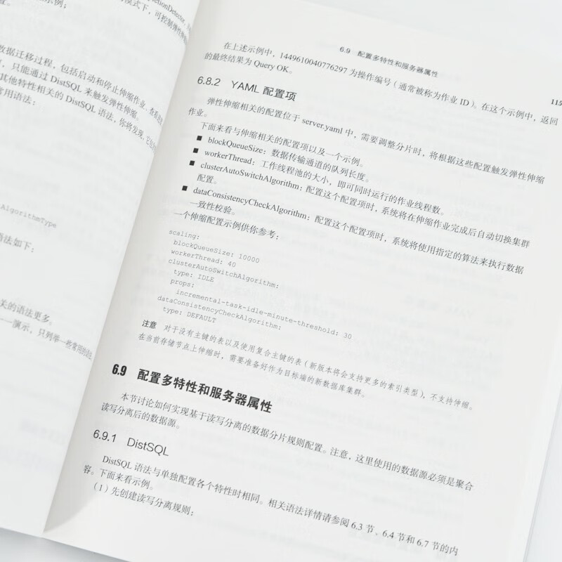 Apache ShardingSphere权威指南（异步图书出品）详情图