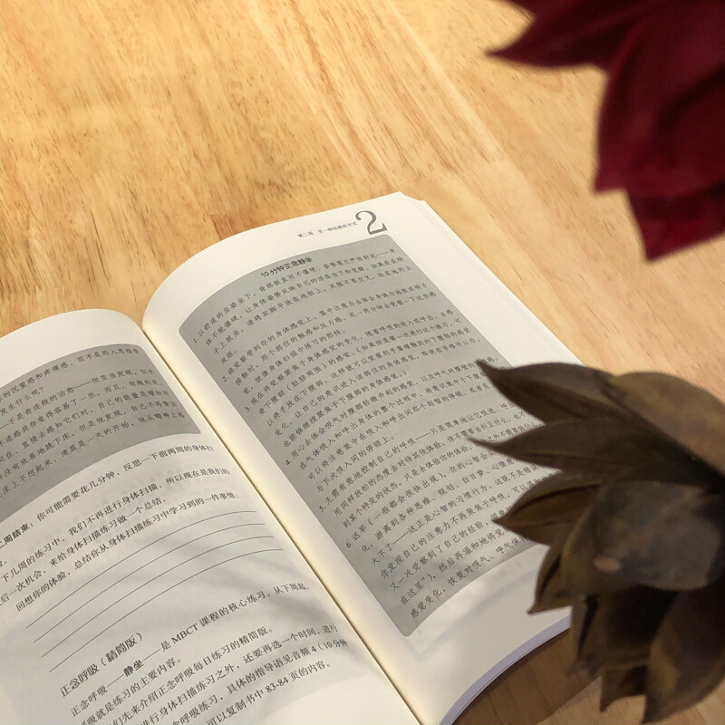 八周正念之旅——摆脱抑郁与情绪压力（万千心理）