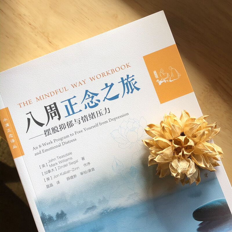 八周正念之旅——摆脱抑郁与情绪压力（万千心理）
