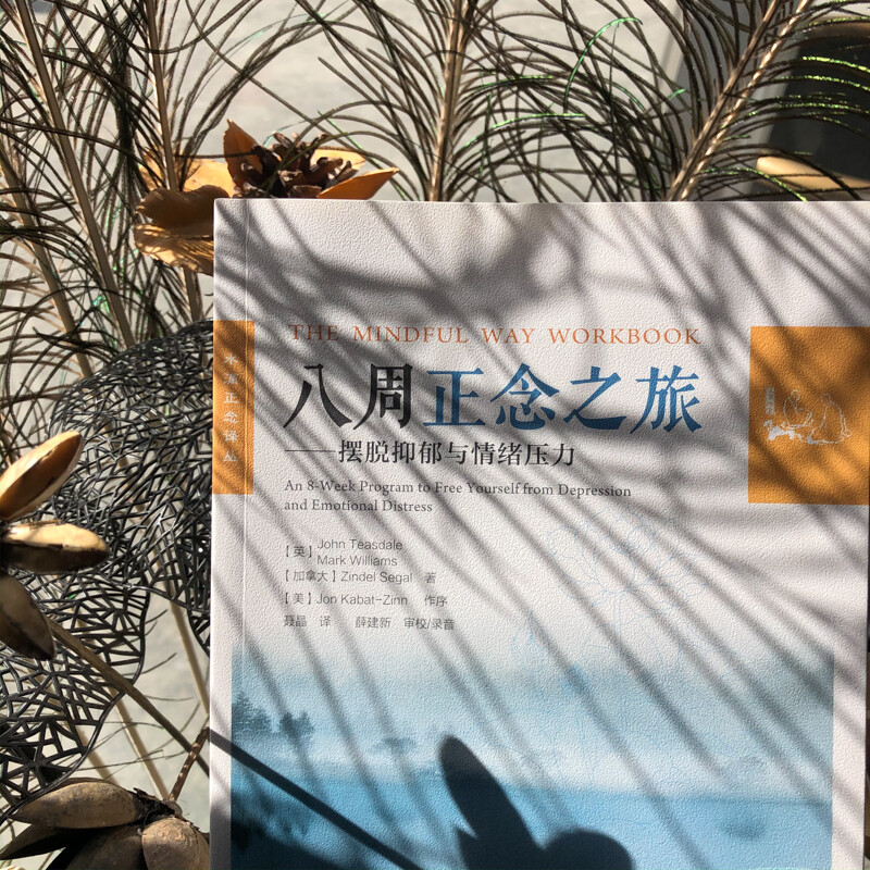 八周正念之旅——摆脱抑郁与情绪压力（万千心理）
