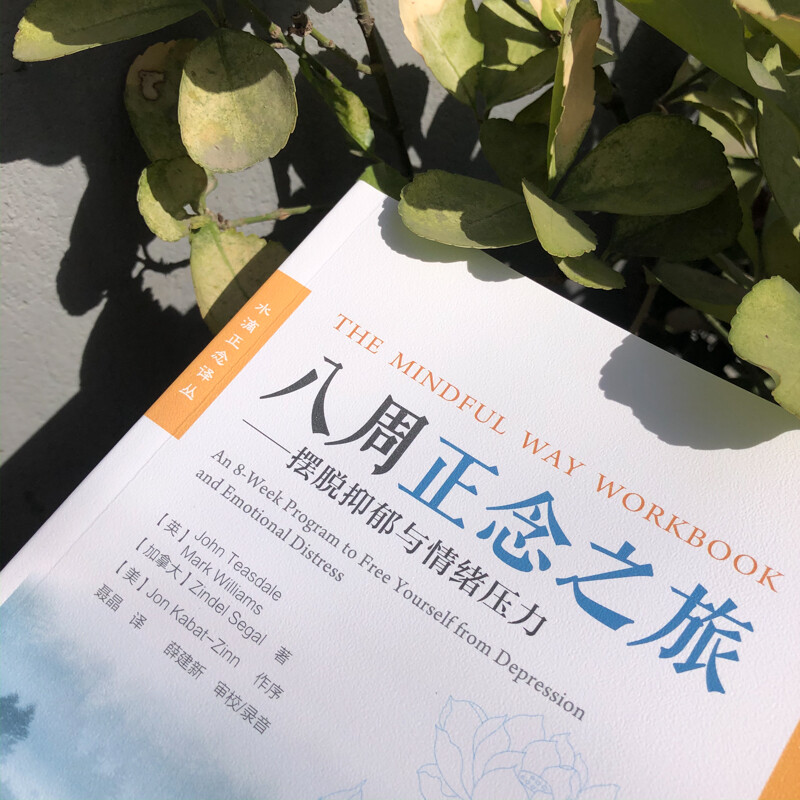 八周正念之旅——摆脱抑郁与情绪压力（万千心理）