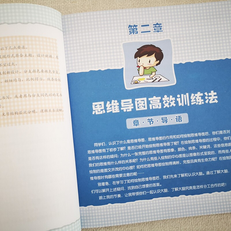 小学生思维导图：受益一生的全脑思维训练 课外阅读暑期阅读学生阅读