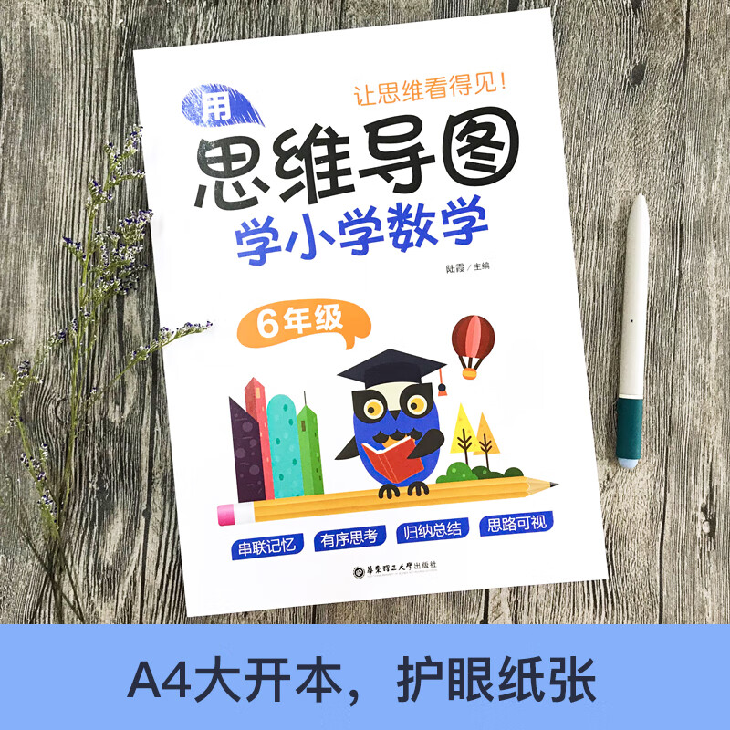 用思维导图学小学数学（6年级）详情图