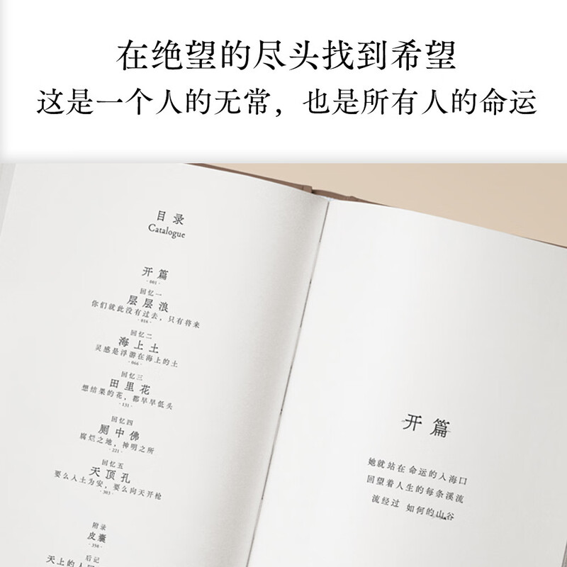 影后辛芷蕾推荐 命运 畅销400万册《皮囊》作者长篇新作 刘德华 韩寒 白岩松 李敬泽 程永新联袂推荐一个人的无常所有人的命运