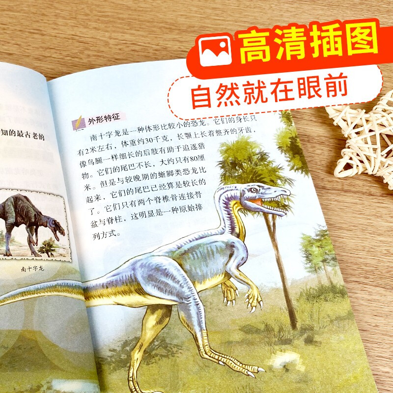 送给孩子的科普探索（全4册） 动物百科+恐龙百科+植物百科+昆虫百科 科普作家、动物学者审阅 高清图片 语文教师联袂推荐 小学生课外阅读书籍详情图