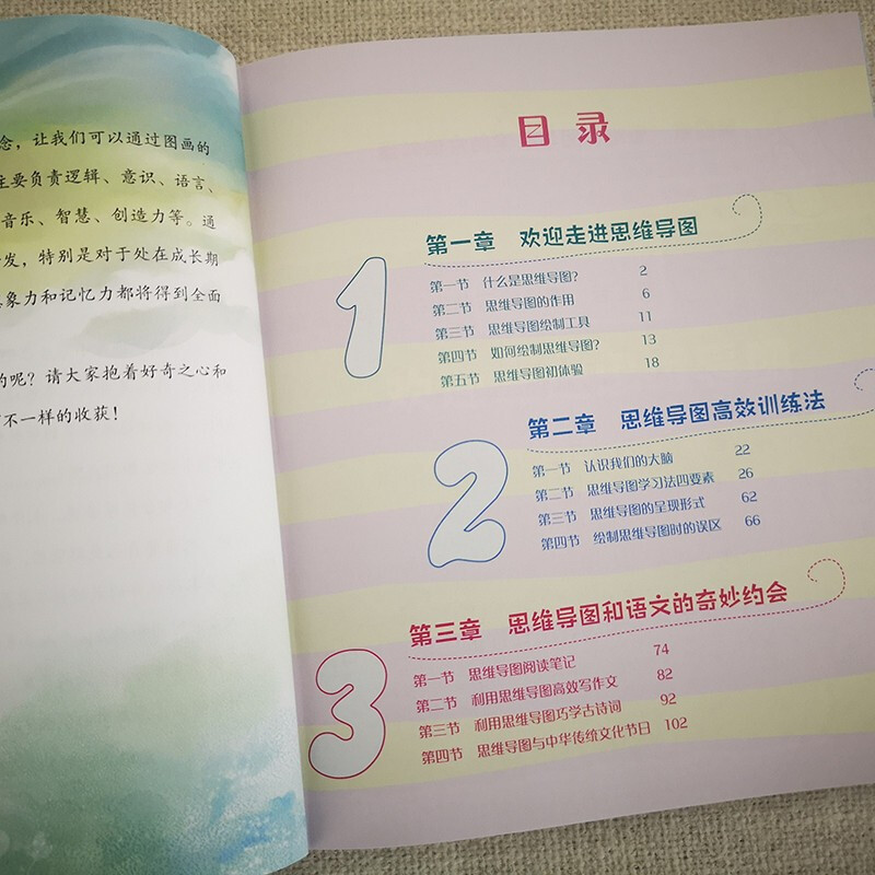 小学生思维导图：受益一生的全脑思维训练 课外阅读暑期阅读学生阅读