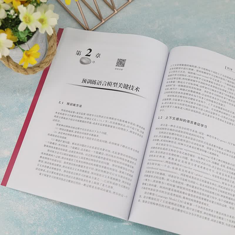 深度学习预训练语言模型（案例篇）——中文金融文本情绪分类研究（大数据与人工智能技术丛书）详情图