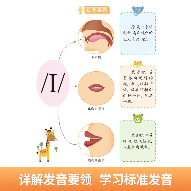音标记单词 趣味速记学48个音标小学英语音标单词汇总语法思维导图象形记忆3-6年级自然拼读英语单词启蒙入门