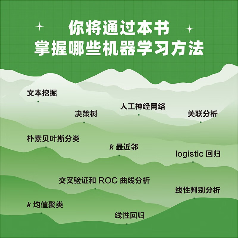 Excel机器学习（图灵出品） deepseek教程