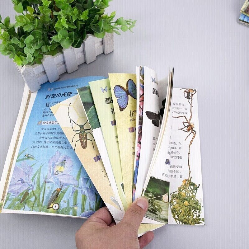 送给孩子的科普探索（全4册） 动物百科+恐龙百科+植物百科+昆虫百科 科普作家、动物学者审阅 高清图片 语文教师联袂推荐 小学生课外阅读书籍详情图