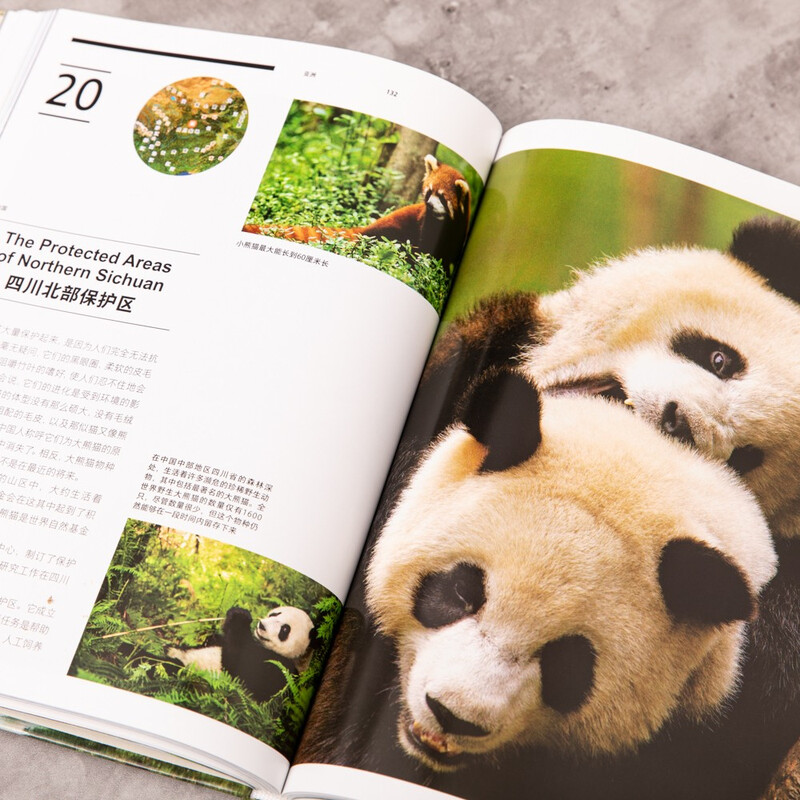 美丽的地球：亚洲（中国国家地理出品   国家公园 自然风光 科普书籍  课外读物  7-14岁 ）详情图