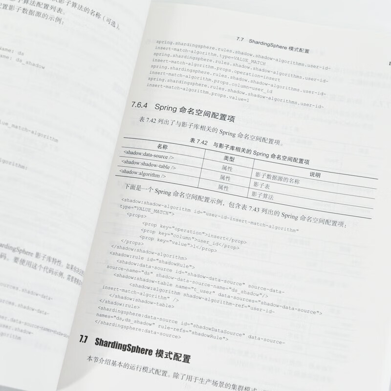 Apache ShardingSphere权威指南（异步图书出品）详情图