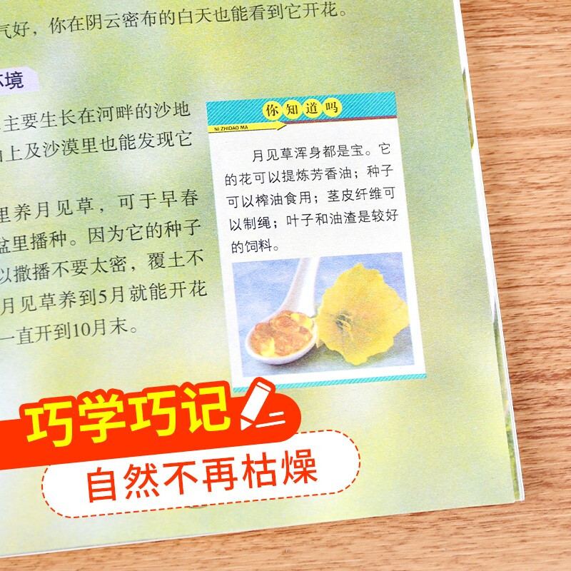 送给孩子的科普探索（全4册） 动物百科+恐龙百科+植物百科+昆虫百科 科普作家、动物学者审阅 高清图片 语文教师联袂推荐 小学生课外阅读书籍详情图