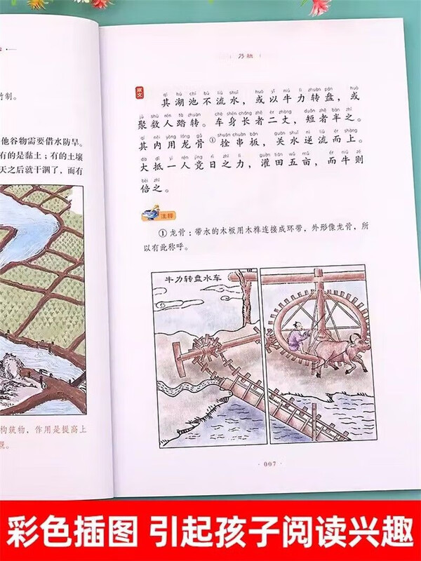 彩图注音版 思维导图天工开物的奥秘 彩图注音版 小学生课外阅读书 6-12岁课外读物 经典故事书详情图