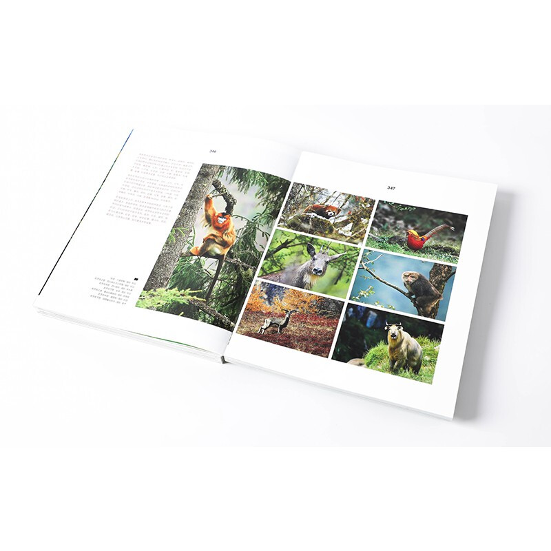 这里是中国2 百年重塑山河 建设改变中国 星球研究所著 荣获文津图书奖、中国好书的《这里是中国》系列第2部 典藏级国民地理书