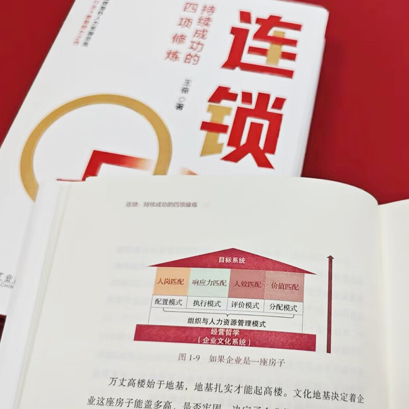 连锁：持续成功的四项修炼 海底捞企业大学创始校长 王奋博士力作