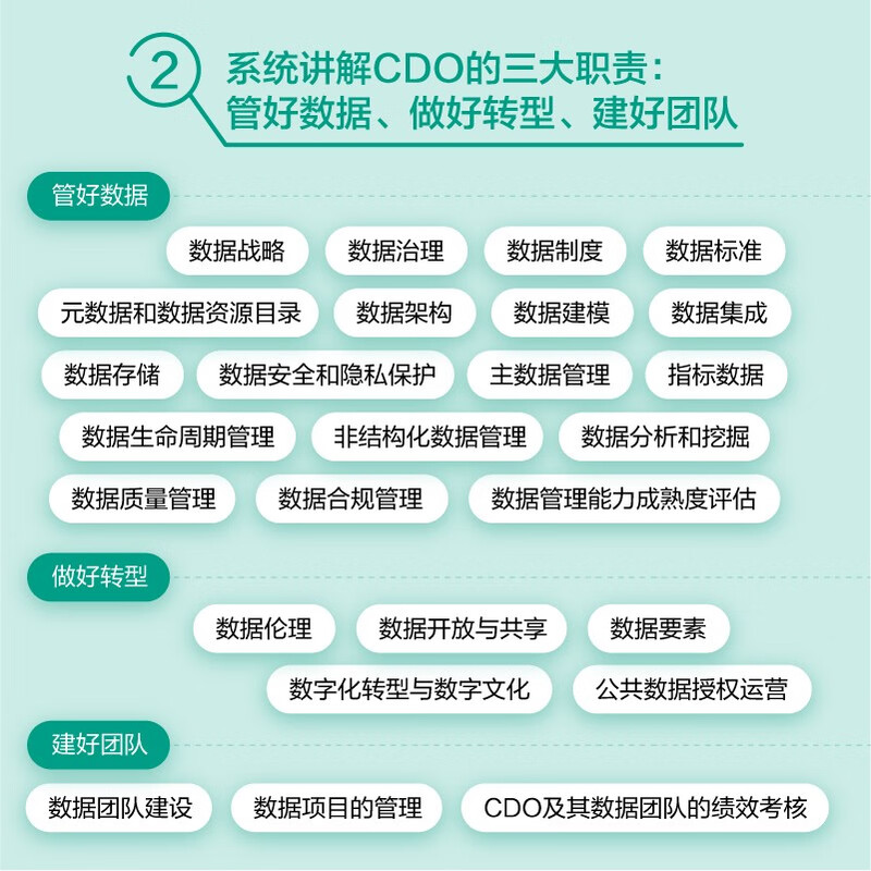 首席数据官知识体系指南（异步图书出品）详情图