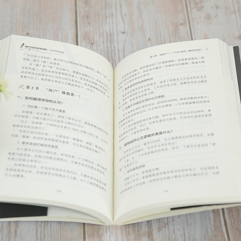 笔杆子是怎样炼成的：公文写作实战（新时代·职场新技能）