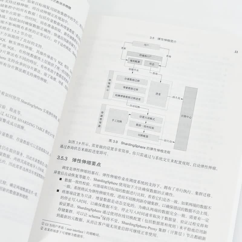 Apache ShardingSphere权威指南（异步图书出品）详情图