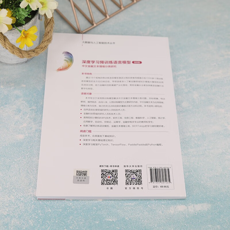 深度学习预训练语言模型（案例篇）——中文金融文本情绪分类研究（大数据与人工智能技术丛书）详情图