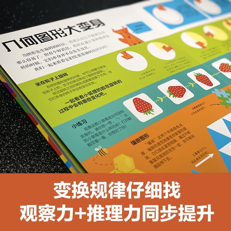 DK我的第一本几何思维启蒙书 数学启蒙 幼儿思维启蒙 立体暑假作业 一升二暑假衔接 小升初暑假衔接详情图