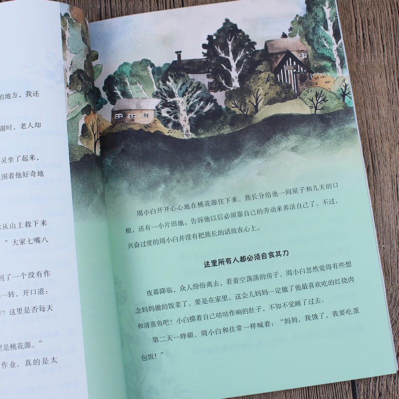 给孩子的思维导图课 受益一生的阅读力训练 天津教育出版社 王玉印,杨泽 著 书籍详情图