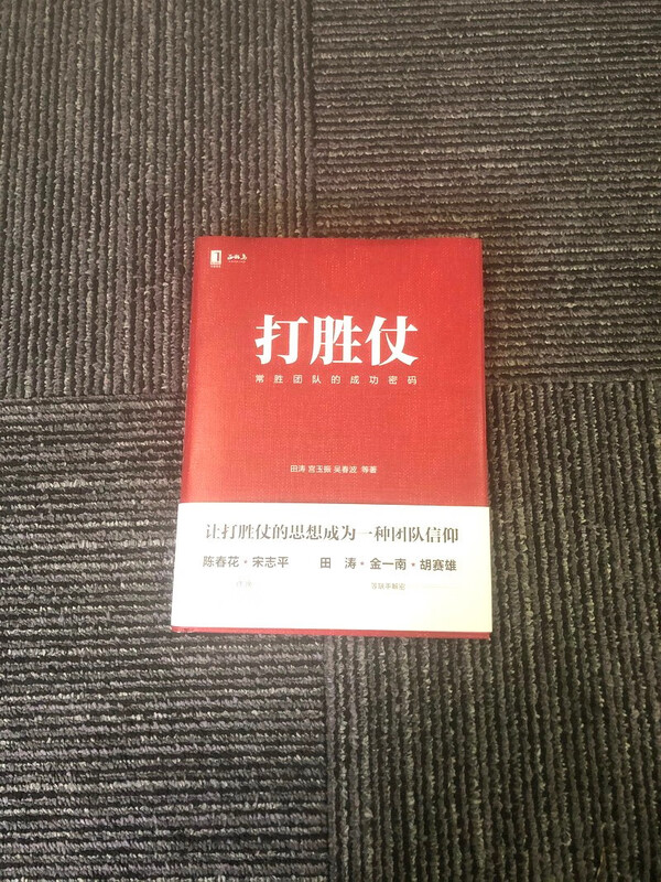 打胜仗:常胜团队的成功密码