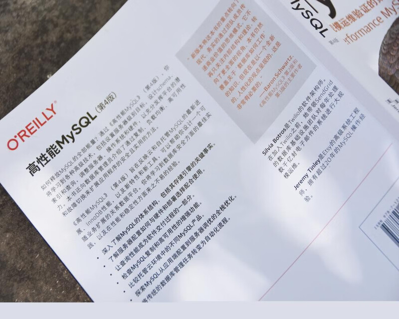 高性能MySQL（第4版）