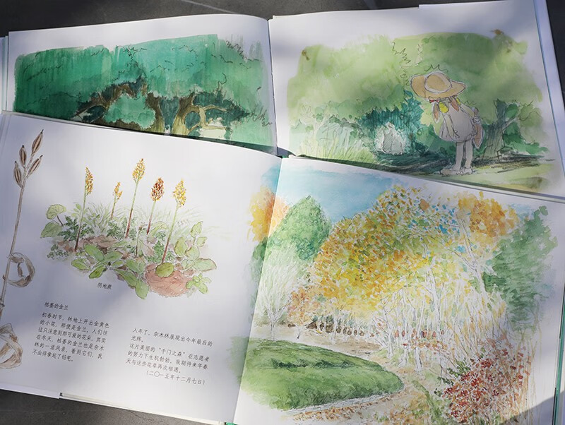 宫崎骏：啊！龙猫（宫崎骏 宫崎夫人首度合体创作 17幅原画初稿 79幅手绘日记）详情图