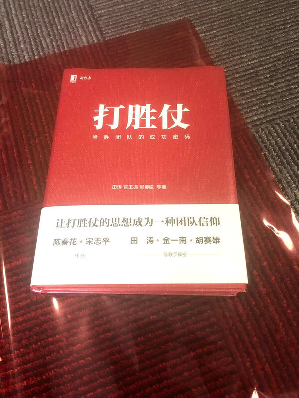 打胜仗:常胜团队的成功密码