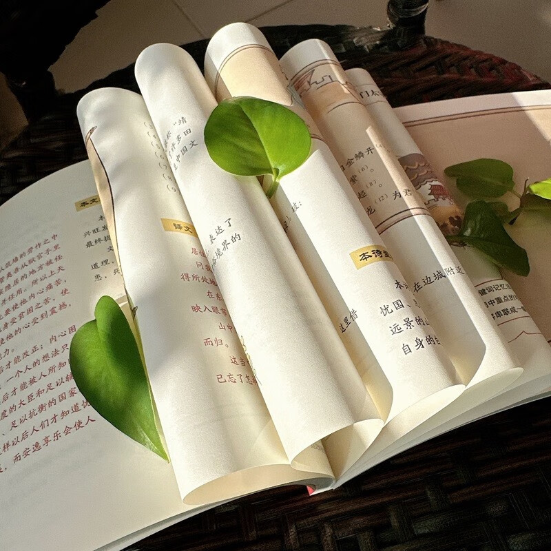 初中文言文思维导图速记 语文 重点注释译文赏析 杨杰 快速阅读 初中通用彩图版详情图