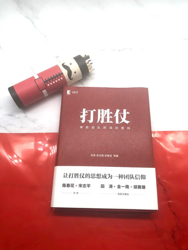 打胜仗:常胜团队的成功密码