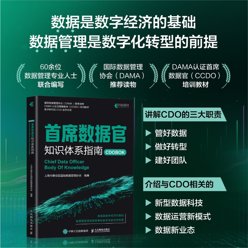 首席数据官知识体系指南（异步图书出品）详情图
