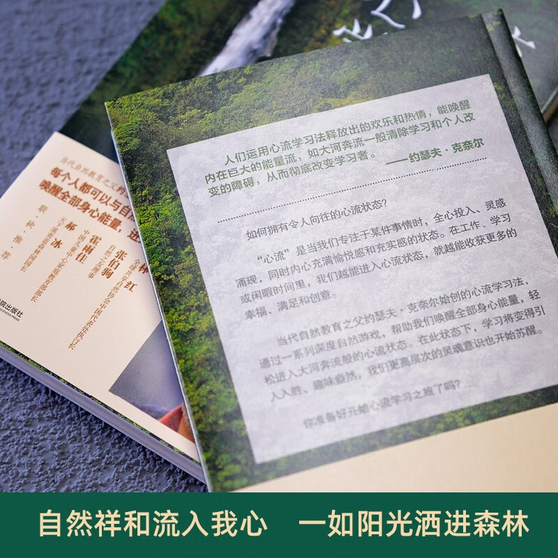 心流学习法：在深度自然游戏中，唤醒身心潜能    自然教育之父约瑟夫里程碑力作详情图