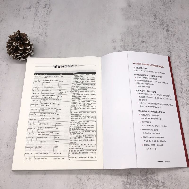 华为财经密码：商业成功与风险制衡