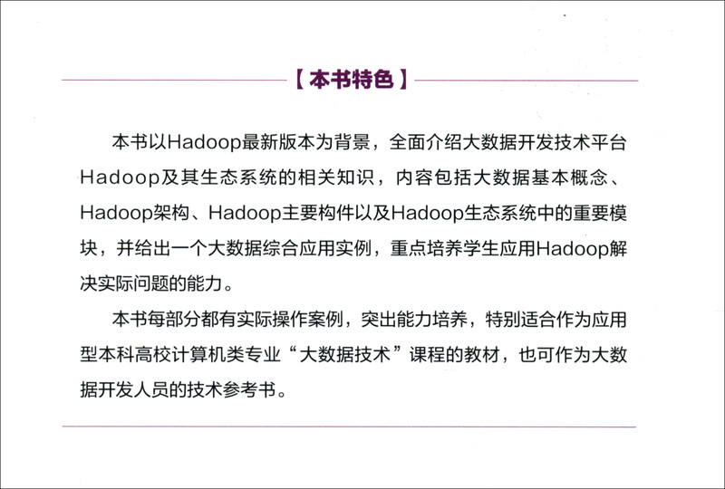 Hadoop大数据开发技术（大数据系列丛书）详情图
