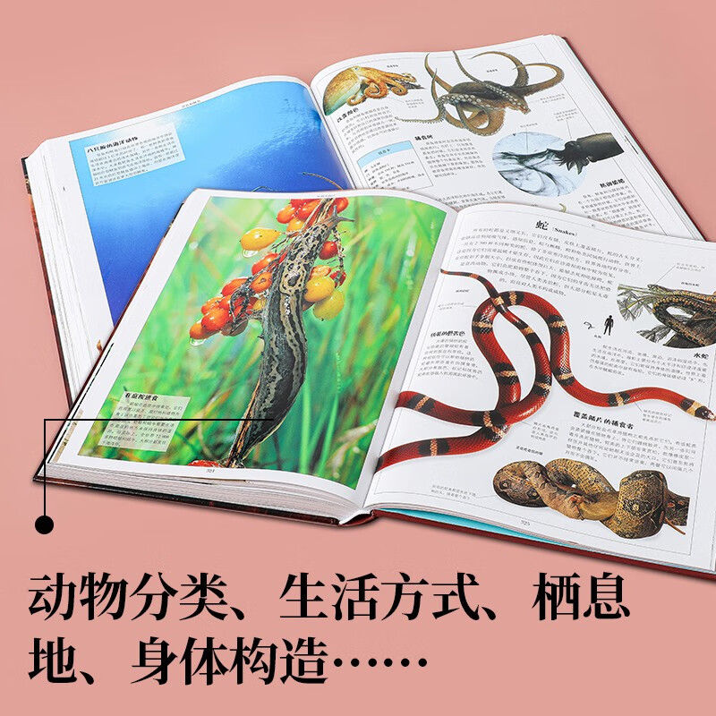 DK儿童动物大百科详情图