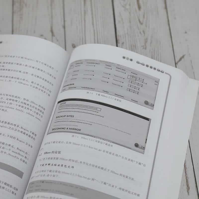 Hadoop大数据开发技术（大数据系列丛书）详情图