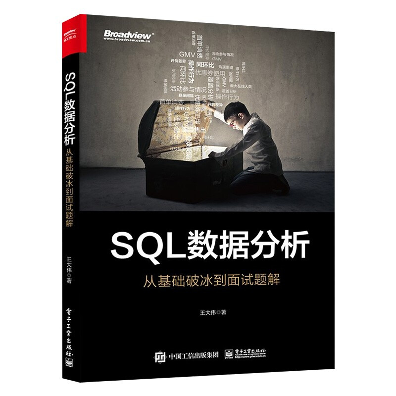 SQL进阶教程+SQL必知必会+SQL基础教程+SQL数据分析 四册